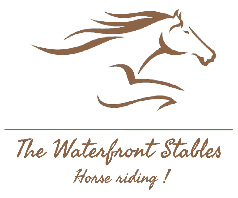 The Waterfront Stables
